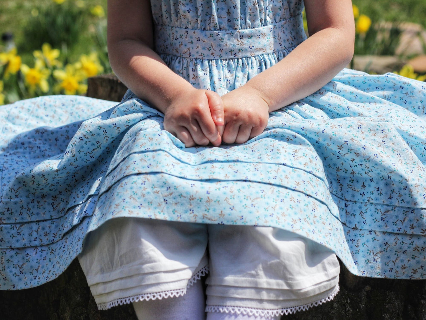 Alice's Wonderland Dress (1840-1869)