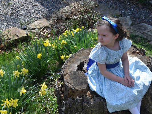 Alice's Wonderland Dress (1840-1869)